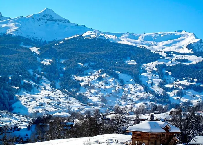 Almisraeba By Interhome Grindelwald